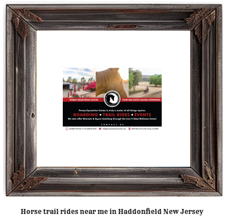 horse trail rides near me in Haddonfield, New Jersey